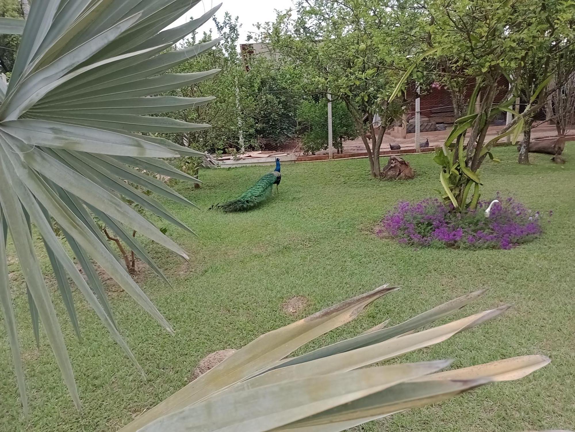 Pousada Chacara Vivalli Holambra Buitenkant foto