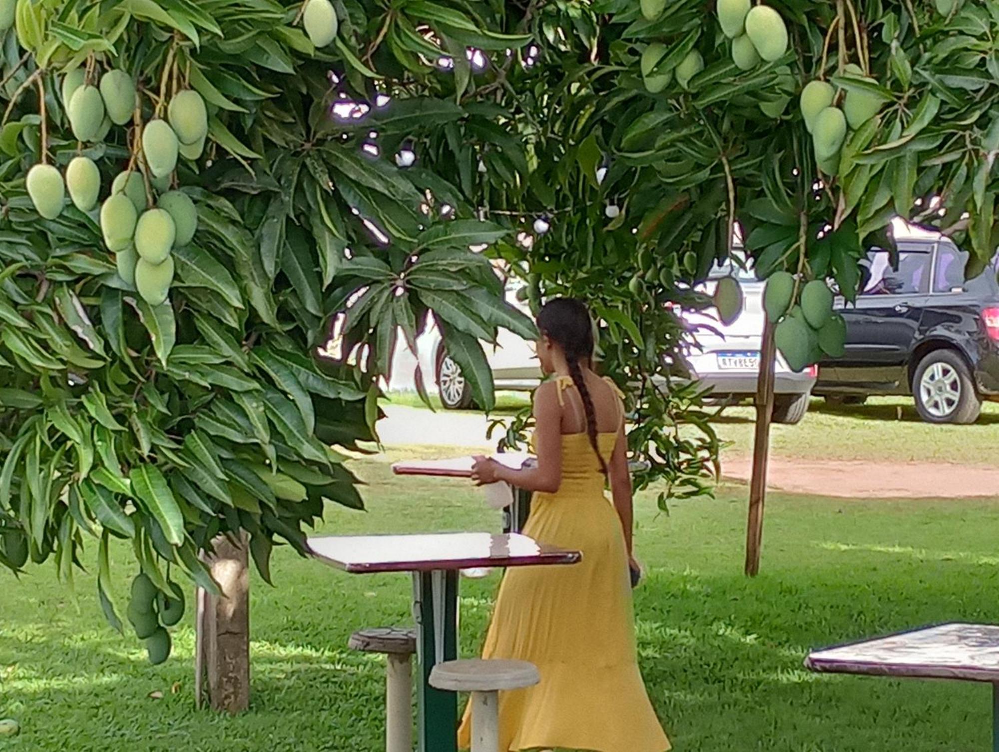 Pousada Chacara Vivalli Holambra Buitenkant foto