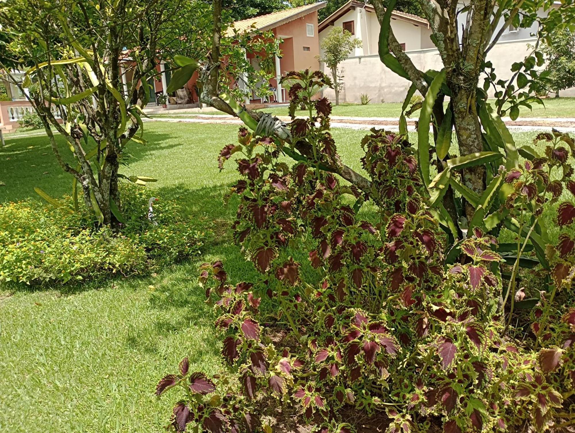 Pousada Chacara Vivalli Holambra Buitenkant foto