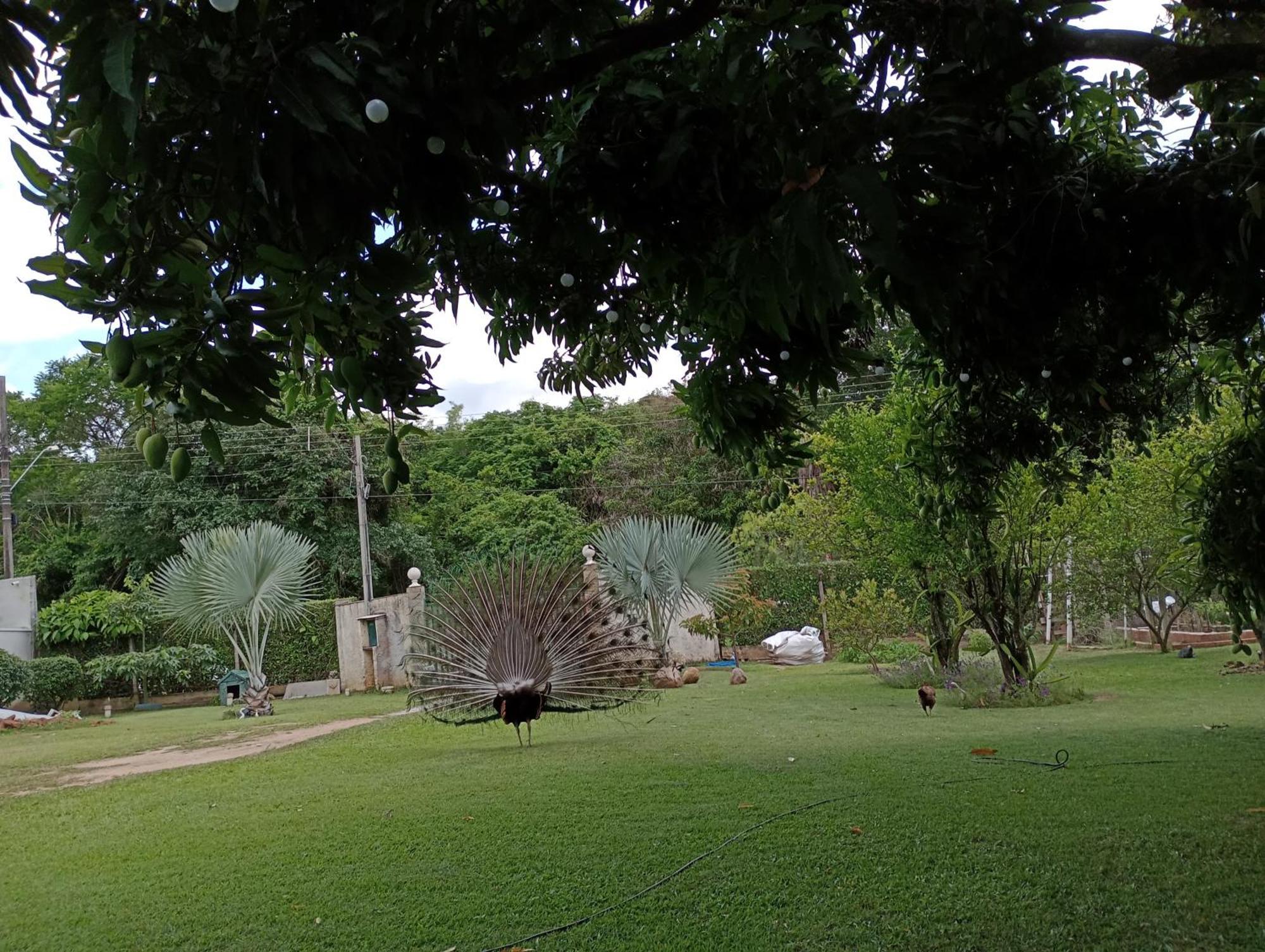 Pousada Chacara Vivalli Holambra Buitenkant foto